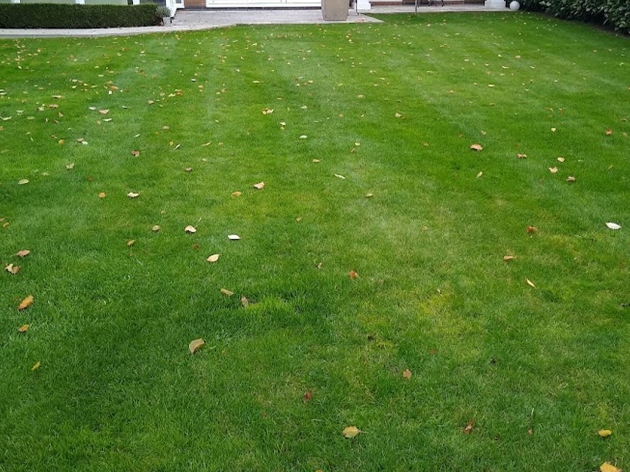after fertiliser