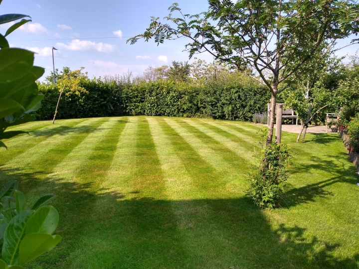 Stripped Lawn Cutting