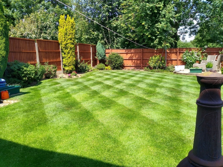 Well Kept Lawn In The West Midland