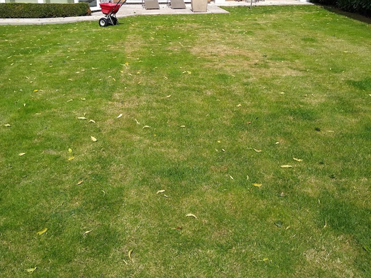 before fertiliser