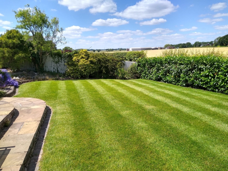 Lawn Treatment Programme