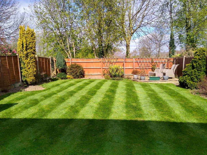 Lawn Treatment Services West Midlands
