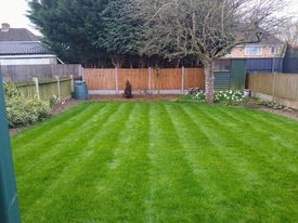 Town House Lawn Care