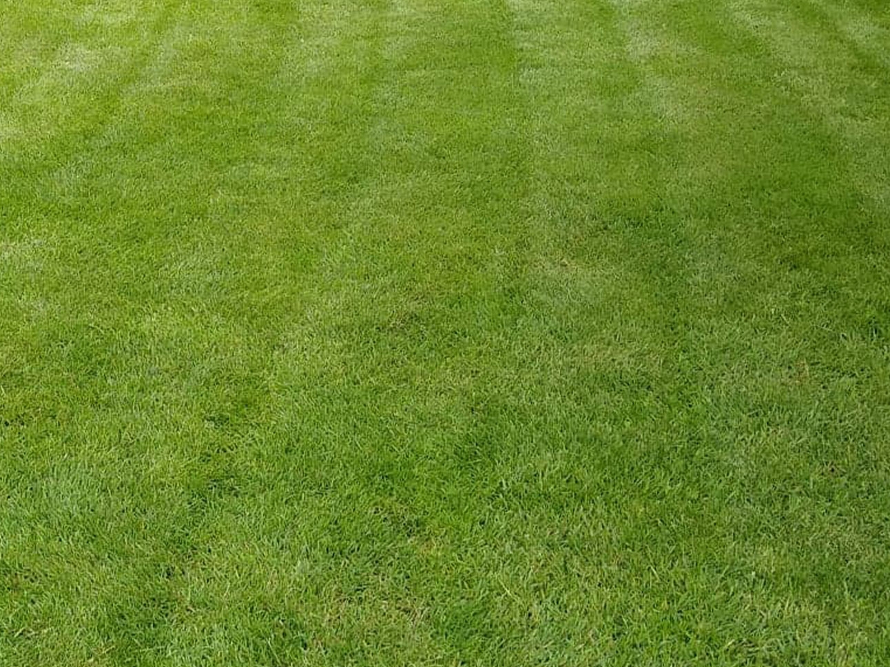 Aeration Service - After