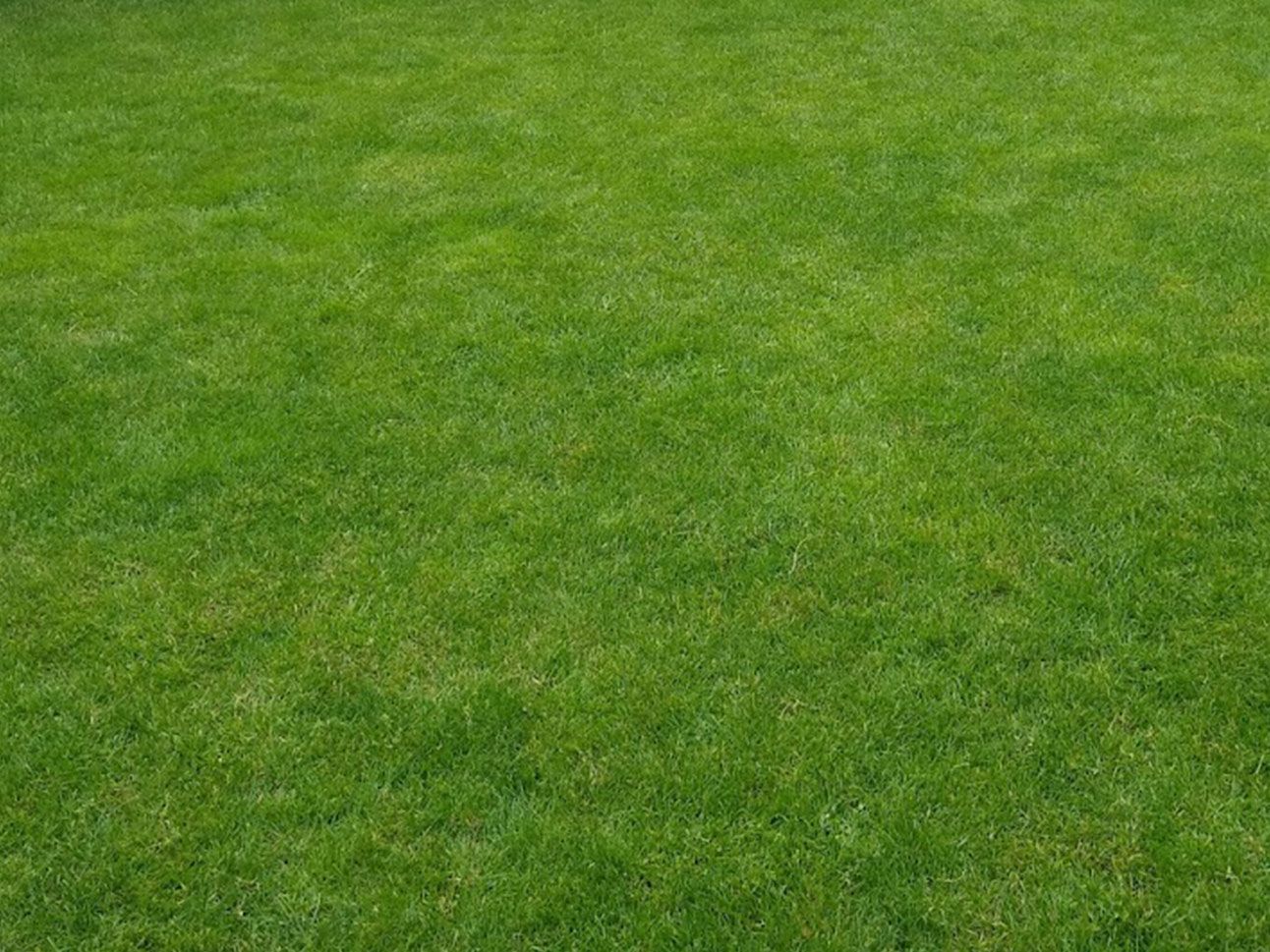 Weed Removal - The result
