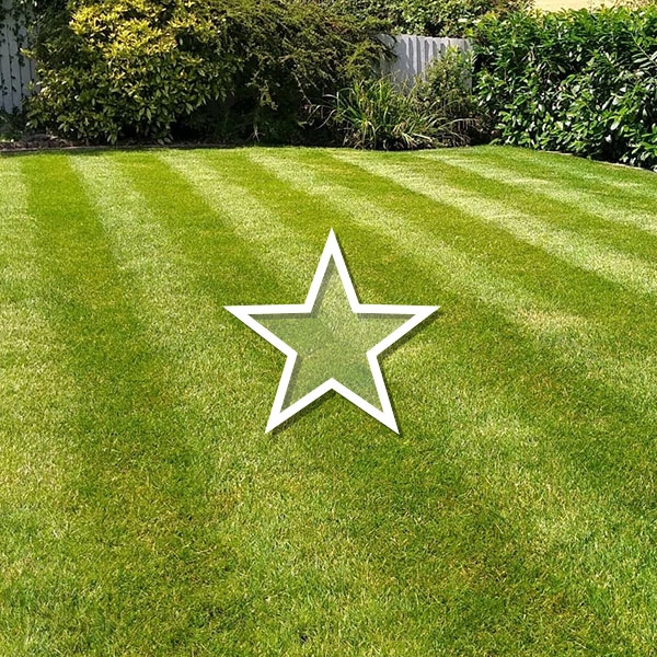 This image shows a deep green striped lawn following a recent lawn care service visit