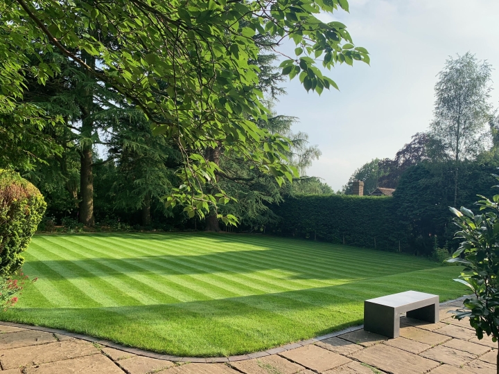 Professional Lawn Care Services